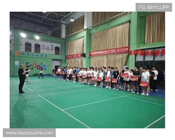 羽毛球配合实力大比拼深圳羽毛球队荣获全国第三名佳绩