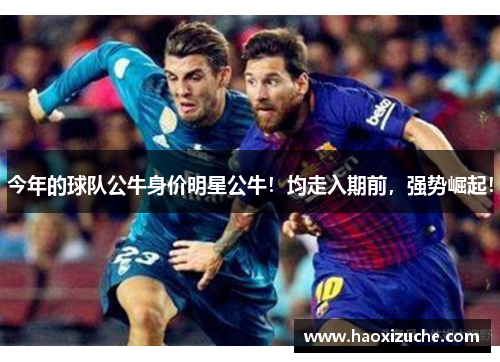 今年的球队公牛身价明星公牛！均走入期前，强势崛起！