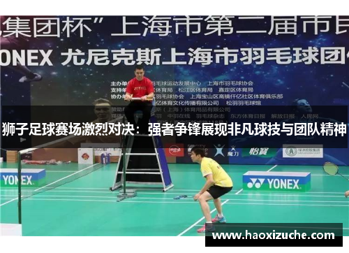 狮子足球赛场激烈对决：强者争锋展现非凡球技与团队精神