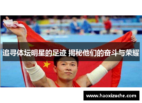 追寻体坛明星的足迹 揭秘他们的奋斗与荣耀